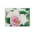 Dolce And Gabbana Flower Print Cardholder, &pound;120, Accessories, Green/Pink/White, Leather, Front view
